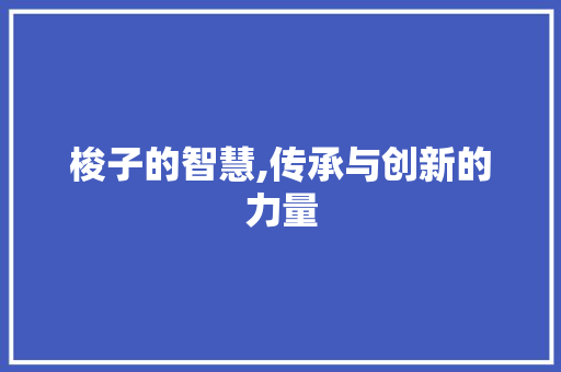 梭子的智慧,传承与创新的力量