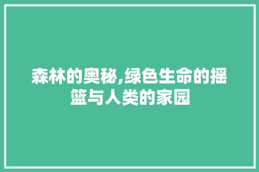 森林的奥秘,绿色生命的摇篮与人类的家园