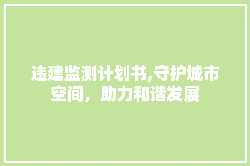 违建监测计划书,守护城市空间，助力和谐发展