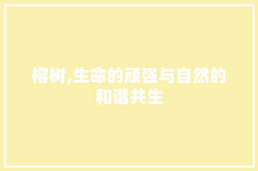 榕树,生命的顽强与自然的和谐共生