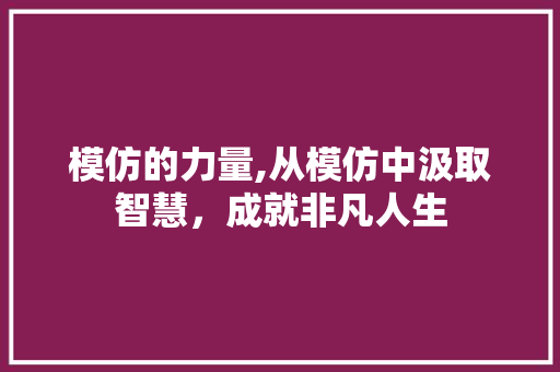 模仿的力量,从模仿中汲取智慧，成就非凡人生