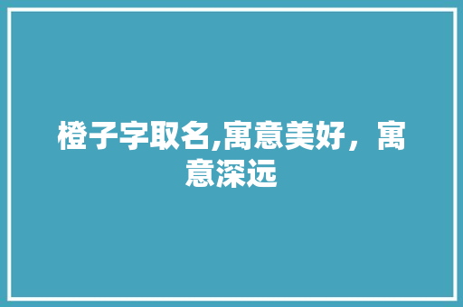 橙子字取名,寓意美好，寓意深远