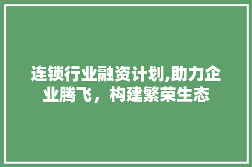 连锁行业融资计划,助力企业腾飞，构建繁荣生态 演讲稿
