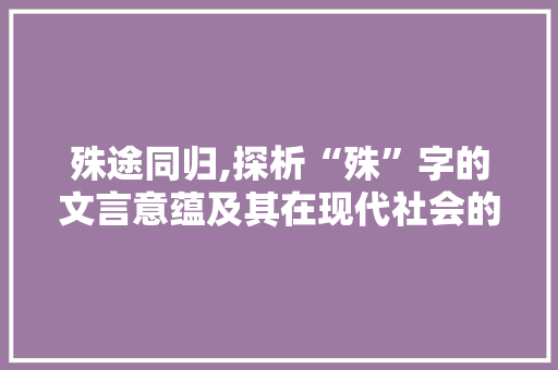 殊途同归,探析“殊”字的文言意蕴及其在现代社会的应用