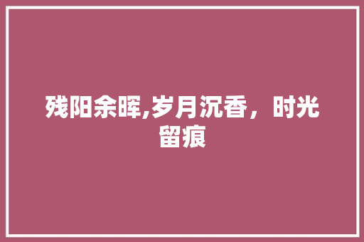 残阳余晖,岁月沉香，时光留痕