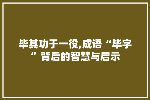 毕其功于一役,成语“毕字”背后的智慧与启示