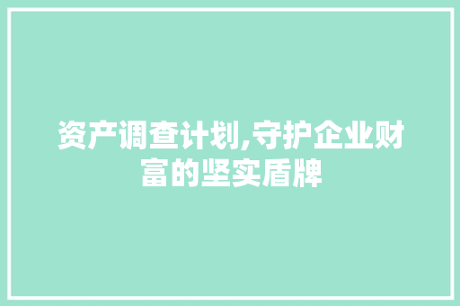 资产调查计划,守护企业财富的坚实盾牌