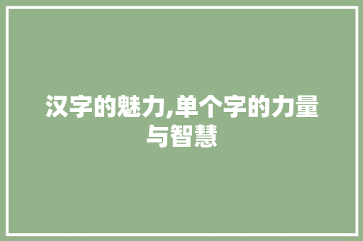 汉字的魅力,单个字的力量与智慧