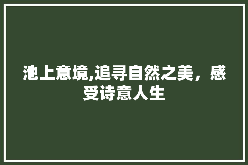 池上意境,追寻自然之美，感受诗意人生