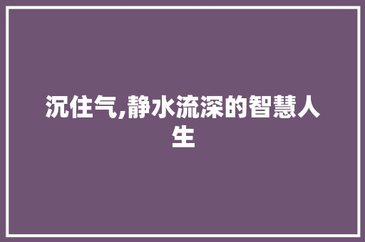 沉住气,静水流深的智慧人生
