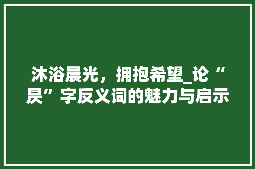 沐浴晨光，拥抱希望_论“昃”字反义词的魅力与启示