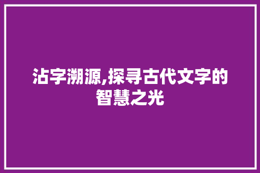 沾字溯源,探寻古代文字的智慧之光