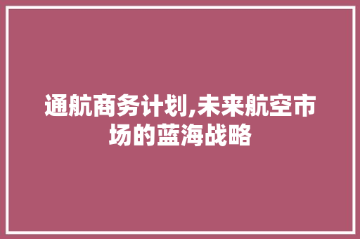通航商务计划,未来航空市场的蓝海战略