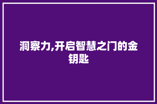 洞察力,开启智慧之门的金钥匙