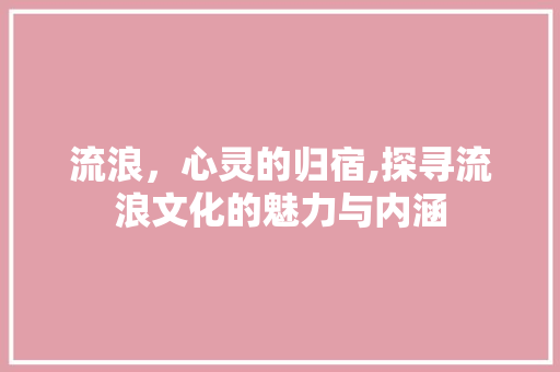 流浪，心灵的归宿,探寻流浪文化的魅力与内涵