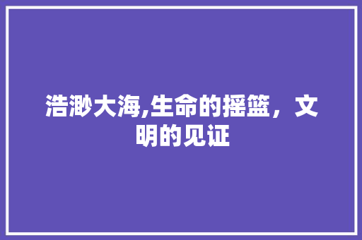 浩渺大海,生命的摇篮，文明的见证
