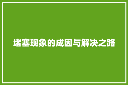 堵塞现象的成因与解决之路 演讲稿