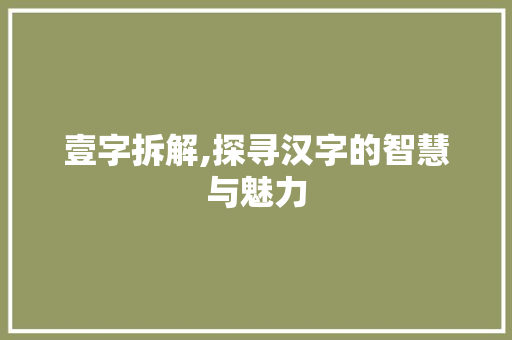 壹字拆解,探寻汉字的智慧与魅力 工作总结