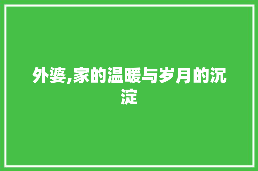 外婆,家的温暖与岁月的沉淀 合同范本