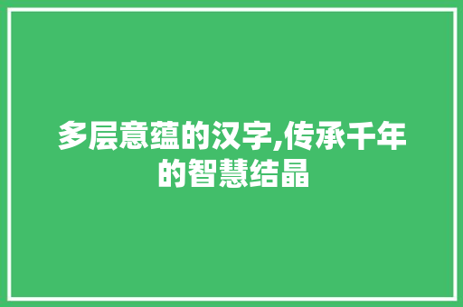 多层意蕴的汉字,传承千年的智慧结晶 个人简历