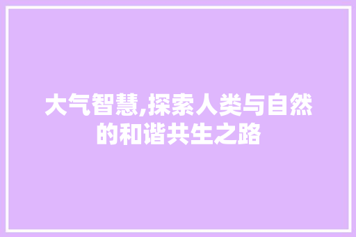 大气智慧,探索人类与自然的和谐共生之路 合同范本