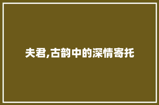 夫君,古韵中的深情寄托