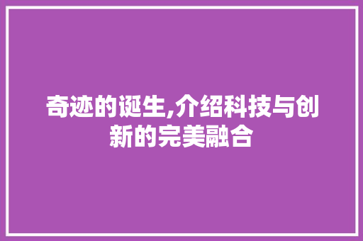 奇迹的诞生,介绍科技与创新的完美融合 个人简历