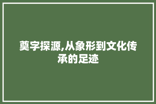 奠字探源,从象形到文化传承的足迹 工作计划