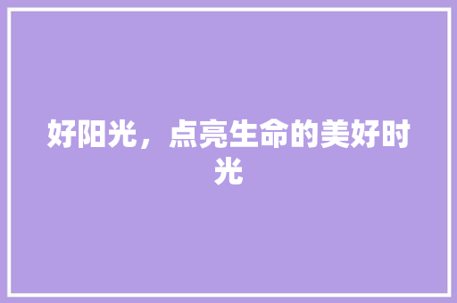 好阳光，点亮生命的美好时光 成语大全