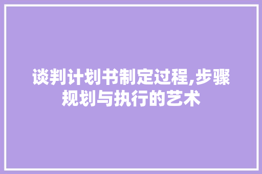 谈判计划书制定过程,步骤规划与执行的艺术