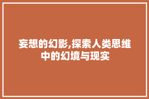 妄想的幻影,探索人类思维中的幻境与现实 工作计划