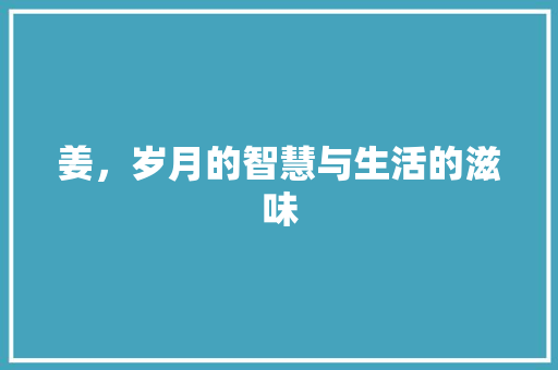 姜，岁月的智慧与生活的滋味