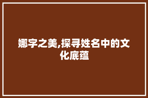 娜字之美,探寻姓名中的文化底蕴 工作总结