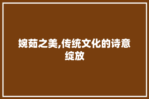 婉茹之美,传统文化的诗意绽放 演讲稿
