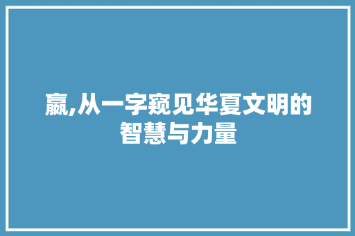 嬴,从一字窥见华夏文明的智慧与力量 工作总结