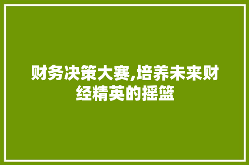 财务决策大赛,培养未来财经精英的摇篮 工作计划