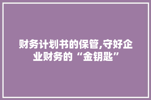 财务计划书的保管,守好企业财务的“金钥匙”