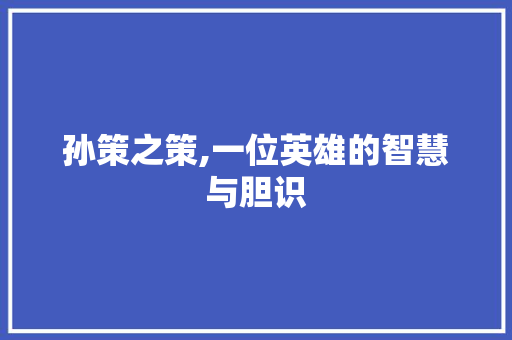 孙策之策,一位英雄的智慧与胆识 个人简历