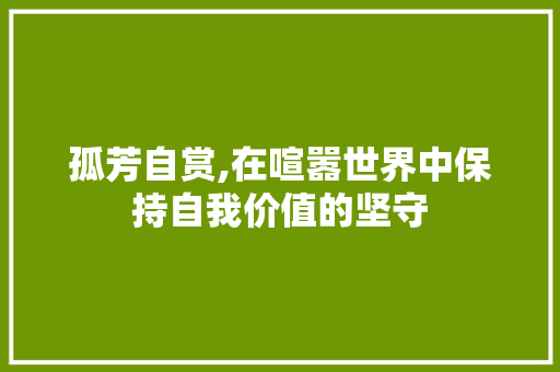 孤芳自赏,在喧嚣世界中保持自我价值的坚守