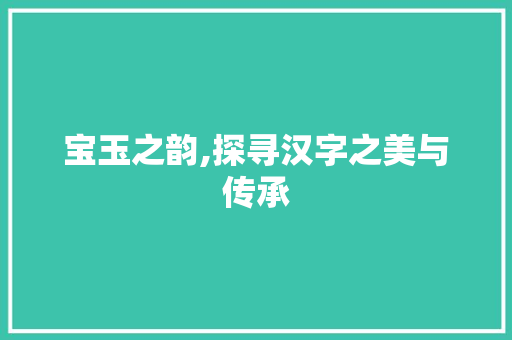 宝玉之韵,探寻汉字之美与传承