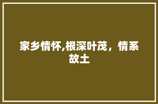 家乡情怀,根深叶茂，情系故土