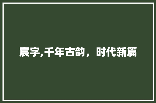 宸字,千年古韵，时代新篇