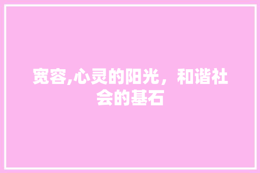 宽容,心灵的阳光，和谐社会的基石