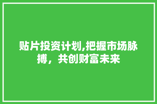 贴片投资计划,把握市场脉搏，共创财富未来