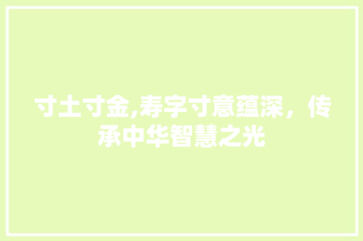 寸土寸金,寿字寸意蕴深，传承中华智慧之光