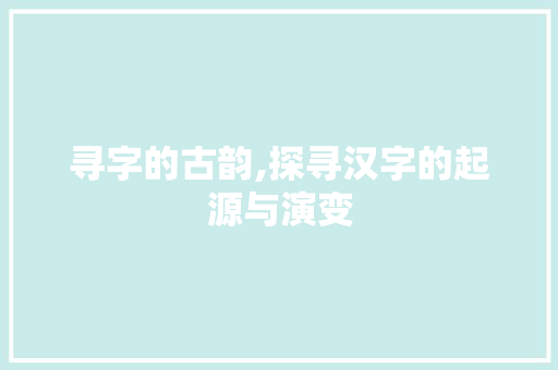 寻字的古韵,探寻汉字的起源与演变 工作总结
