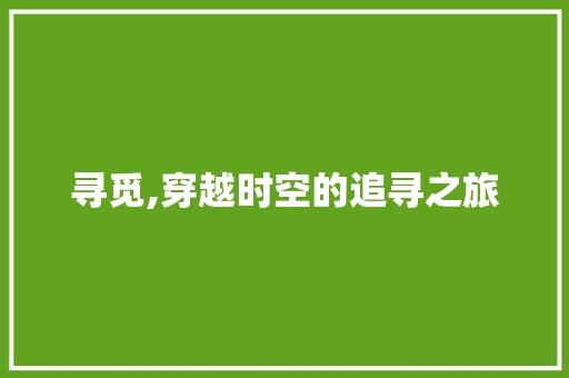 寻觅,穿越时空的追寻之旅