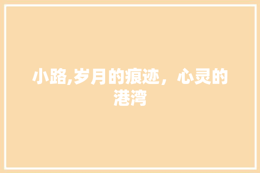 小路,岁月的痕迹，心灵的港湾 工作总结