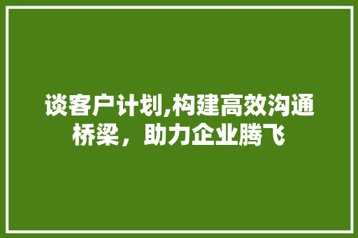 谈客户计划,构建高效沟通桥梁，助力企业腾飞