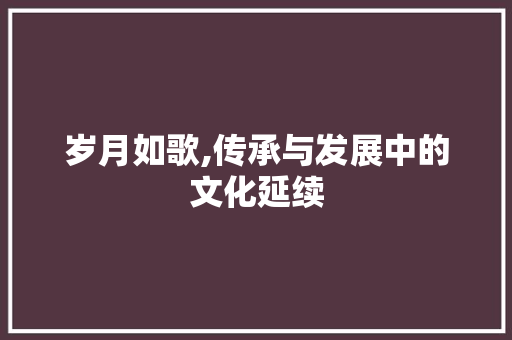 岁月如歌,传承与发展中的文化延续 演讲稿